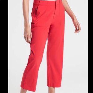 Tribeca utility crop red size 2
